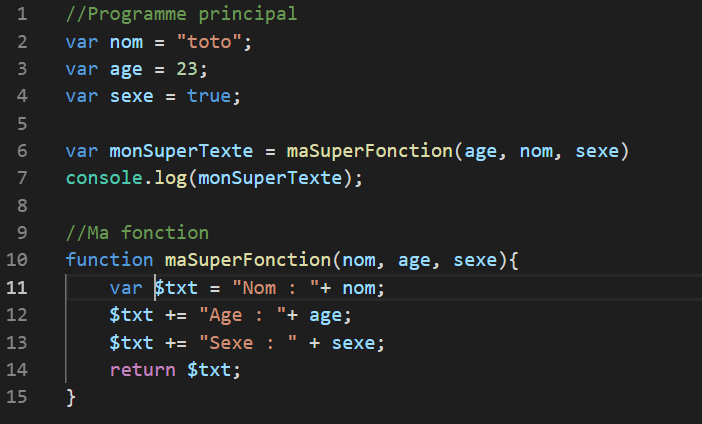 Les fonctions en programmation JavaScript